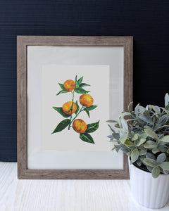 Tangerines Art Print