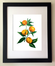 Load image into Gallery viewer, Tangerines Art Print